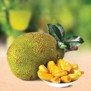 Jackfruit