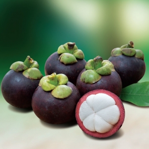 Mangosteen K100