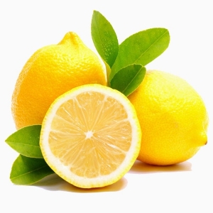 Lemon citrus homegrown nursery