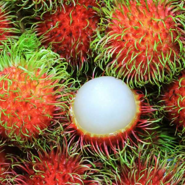 Rambutan Binjai