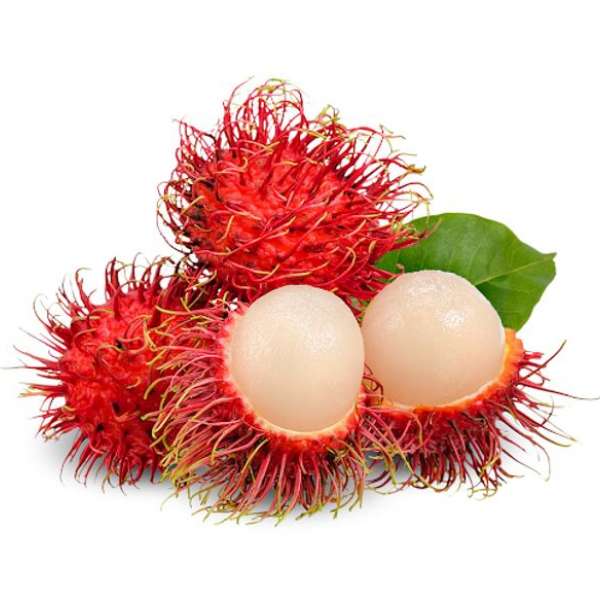 Rambutan Rongrien