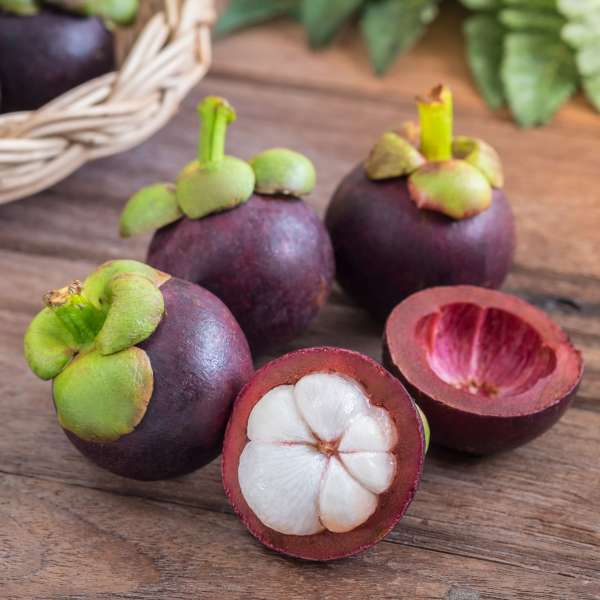 Mangosteen k100