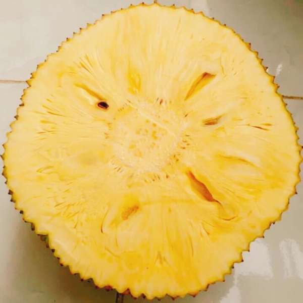 jack fruit seed less