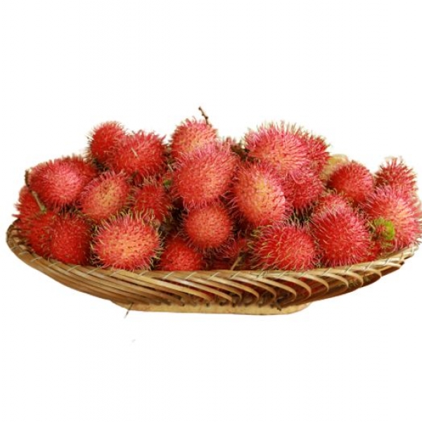 Rambutan N18