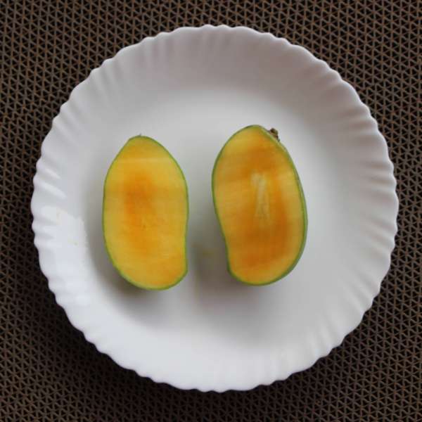 kolombu mango