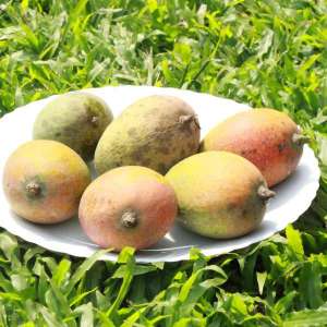 Mango kottukonam