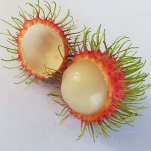 rambutan jarum emas